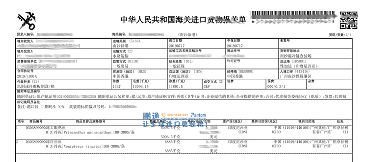凍魚-報關單
