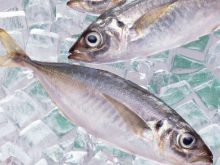 冷凍魚東莞進口報關(guān)代理,冷凍魚報關(guān)代理,冷凍魚進口報關(guān)
